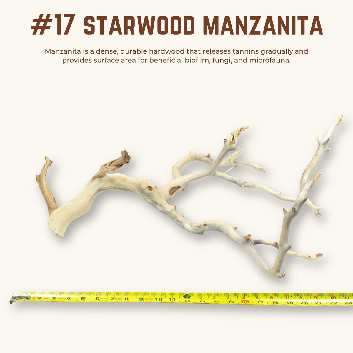 Starwood Manzanita | WYSIWYG Pieces