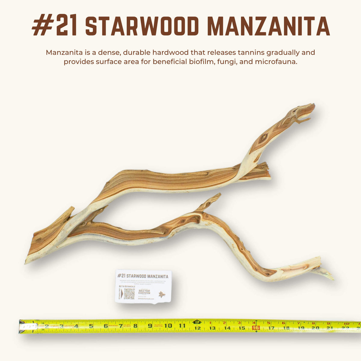 Starwood Manzanita | WYSIWYG Pieces