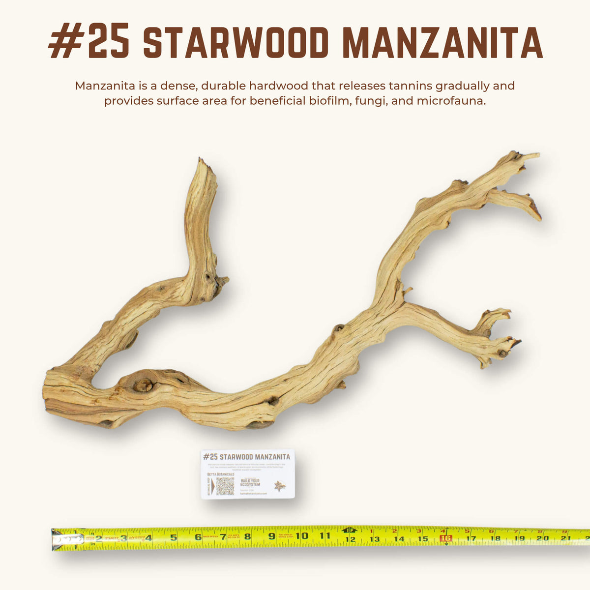 Starwood Manzanita | WYSIWYG Pieces