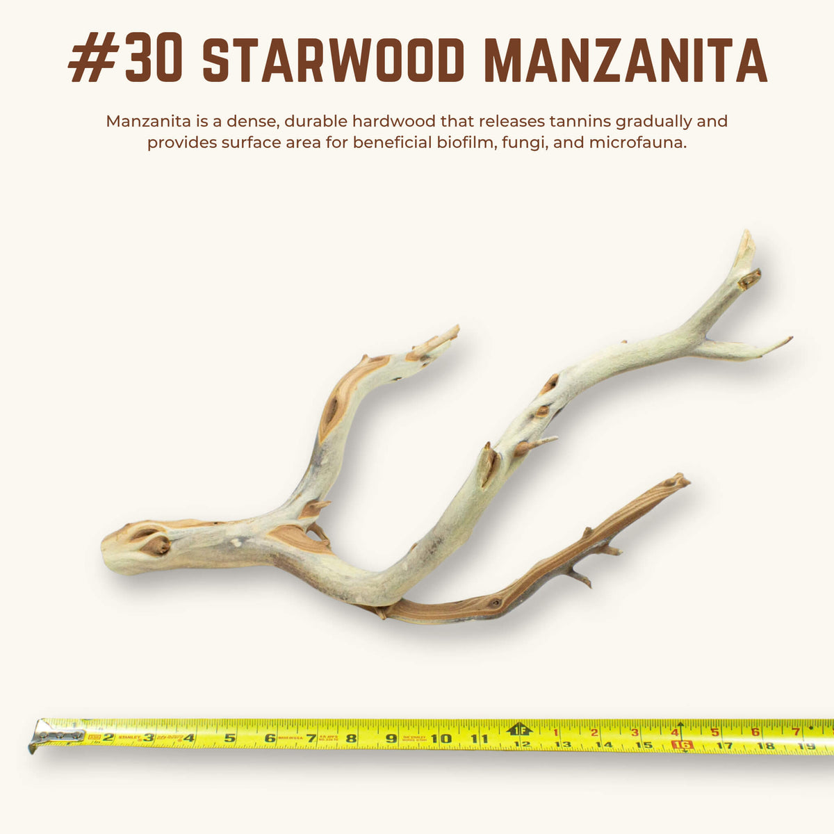 Starwood Manzanita | WYSIWYG Pieces