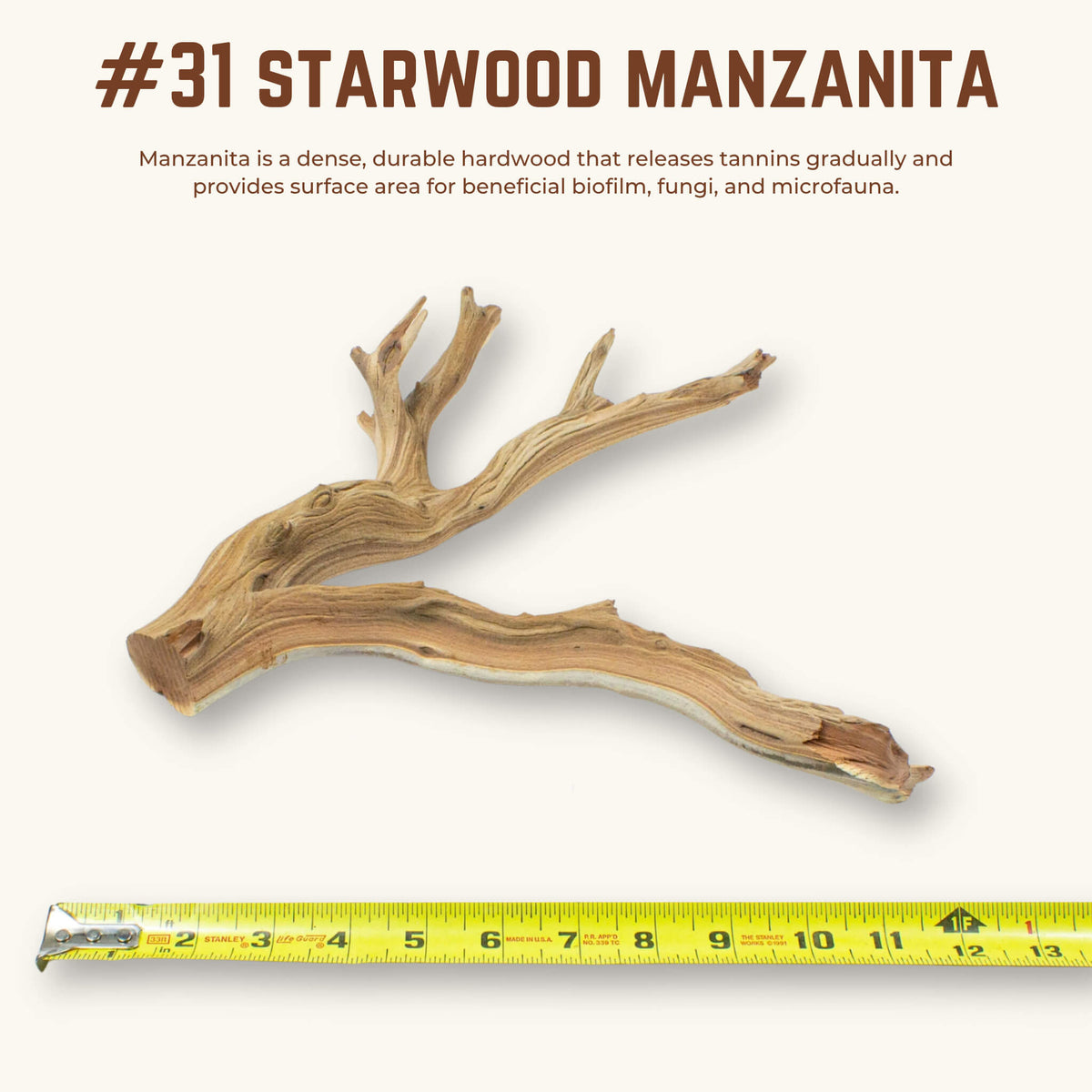 Starwood Manzanita | WYSIWYG Pieces