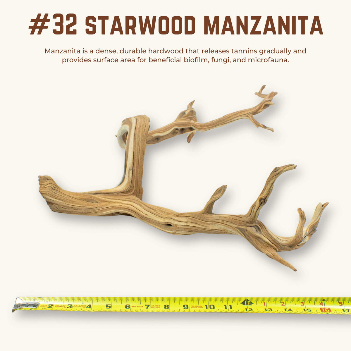 Starwood Manzanita | WYSIWYG Pieces