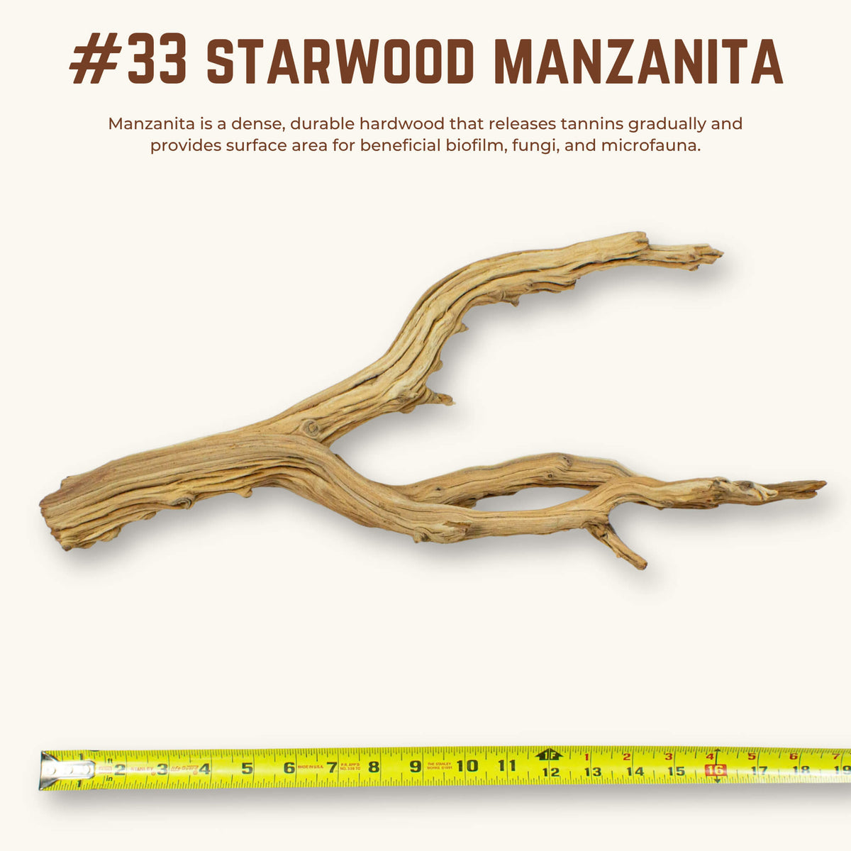 Starwood Manzanita | WYSIWYG Pieces