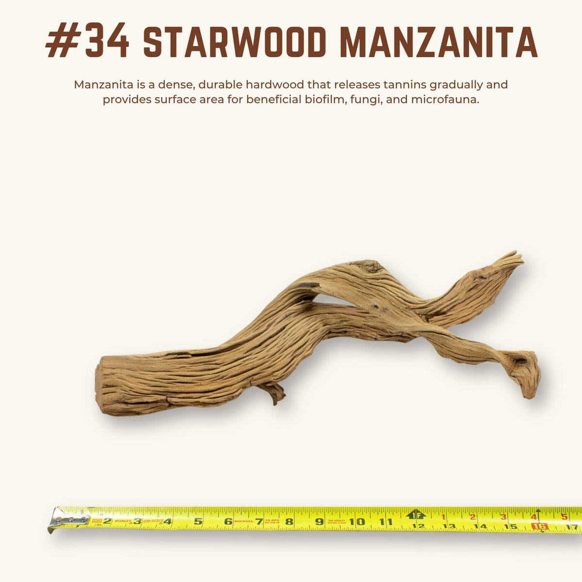 Starwood Manzanita | WYSIWYG Pieces