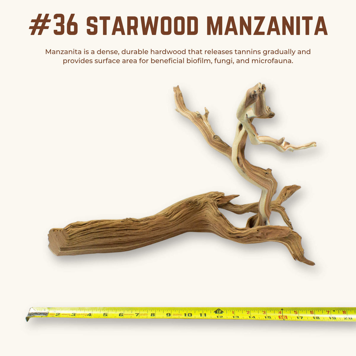 Starwood Manzanita | WYSIWYG Pieces