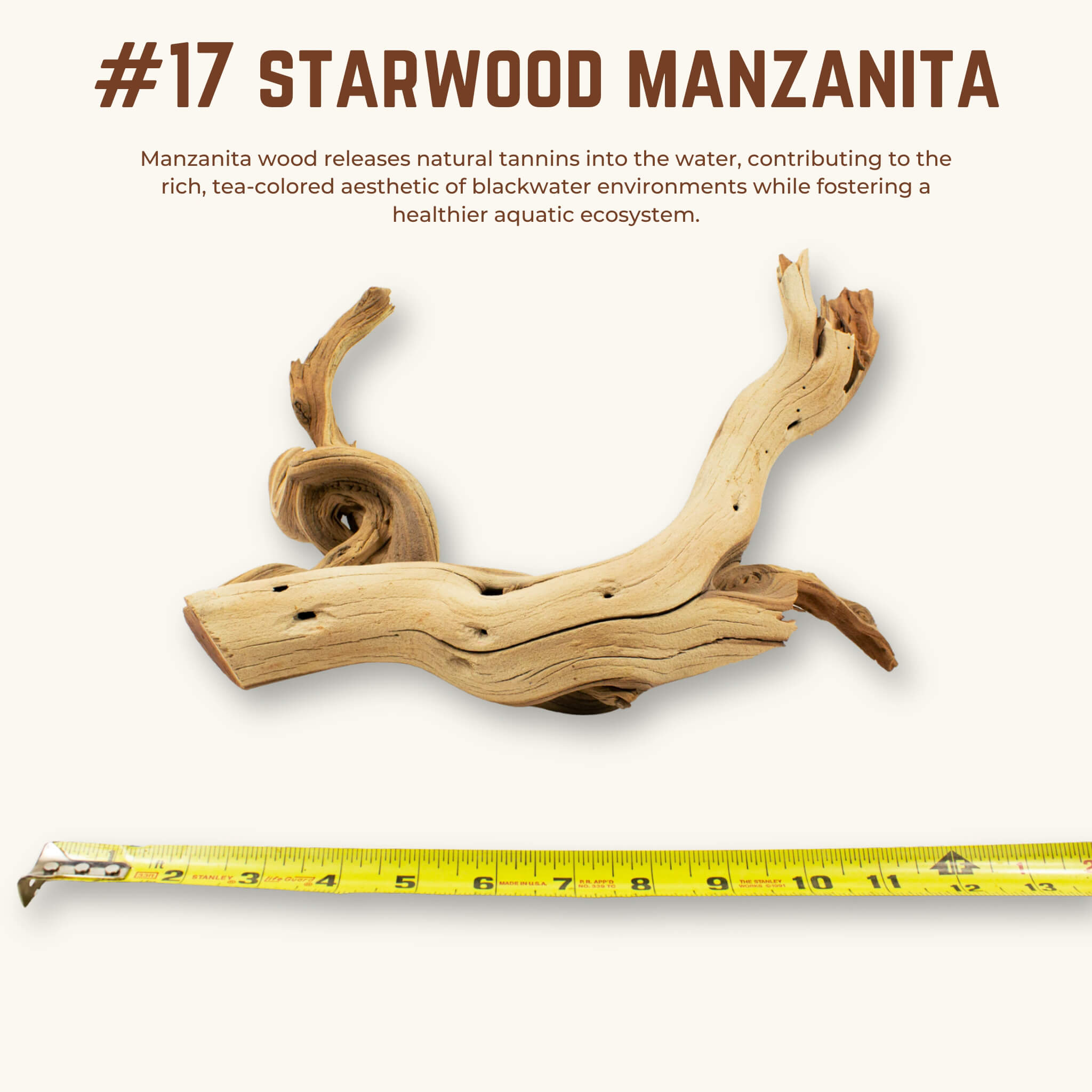 Starwood Manzanita | WYSIWYG Pieces