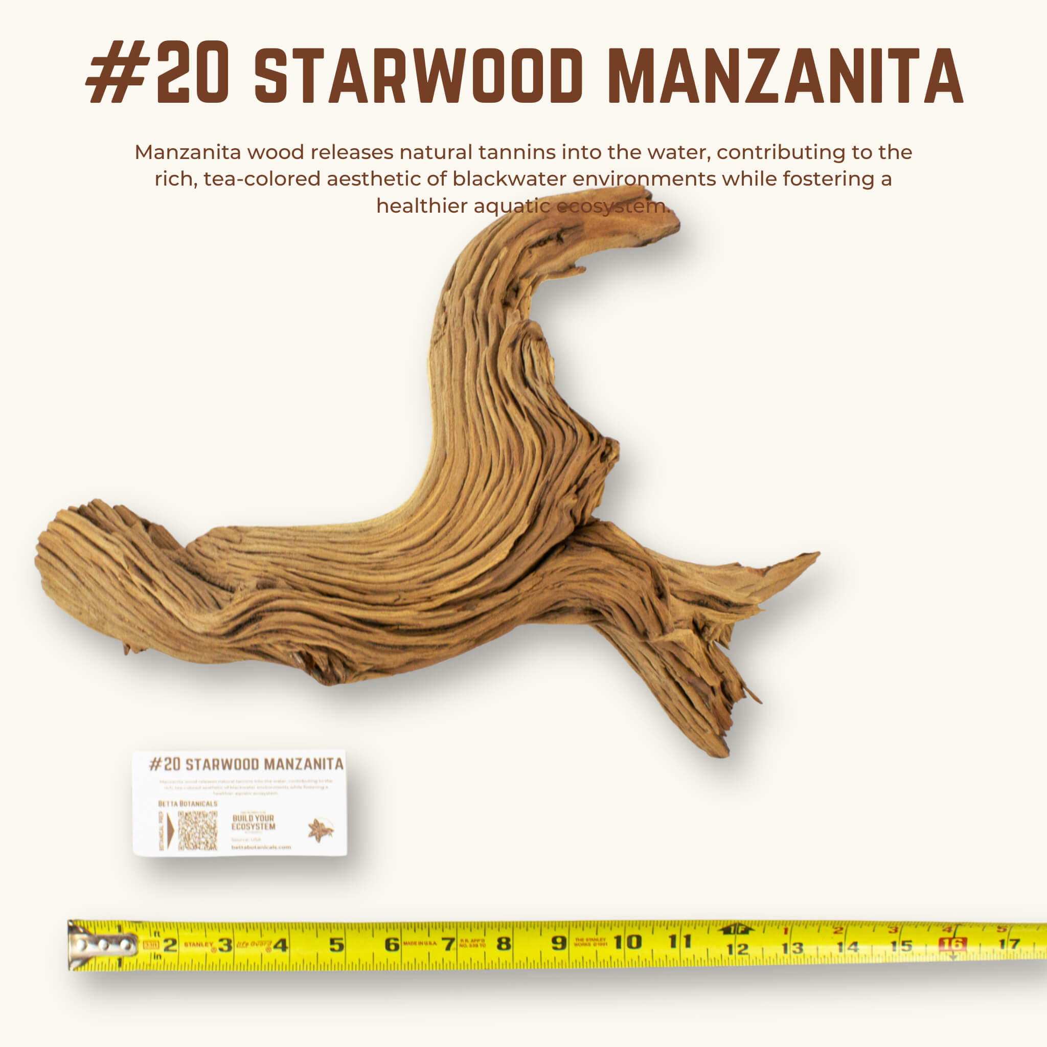 Starwood Manzanita | WYSIWYG Pieces
