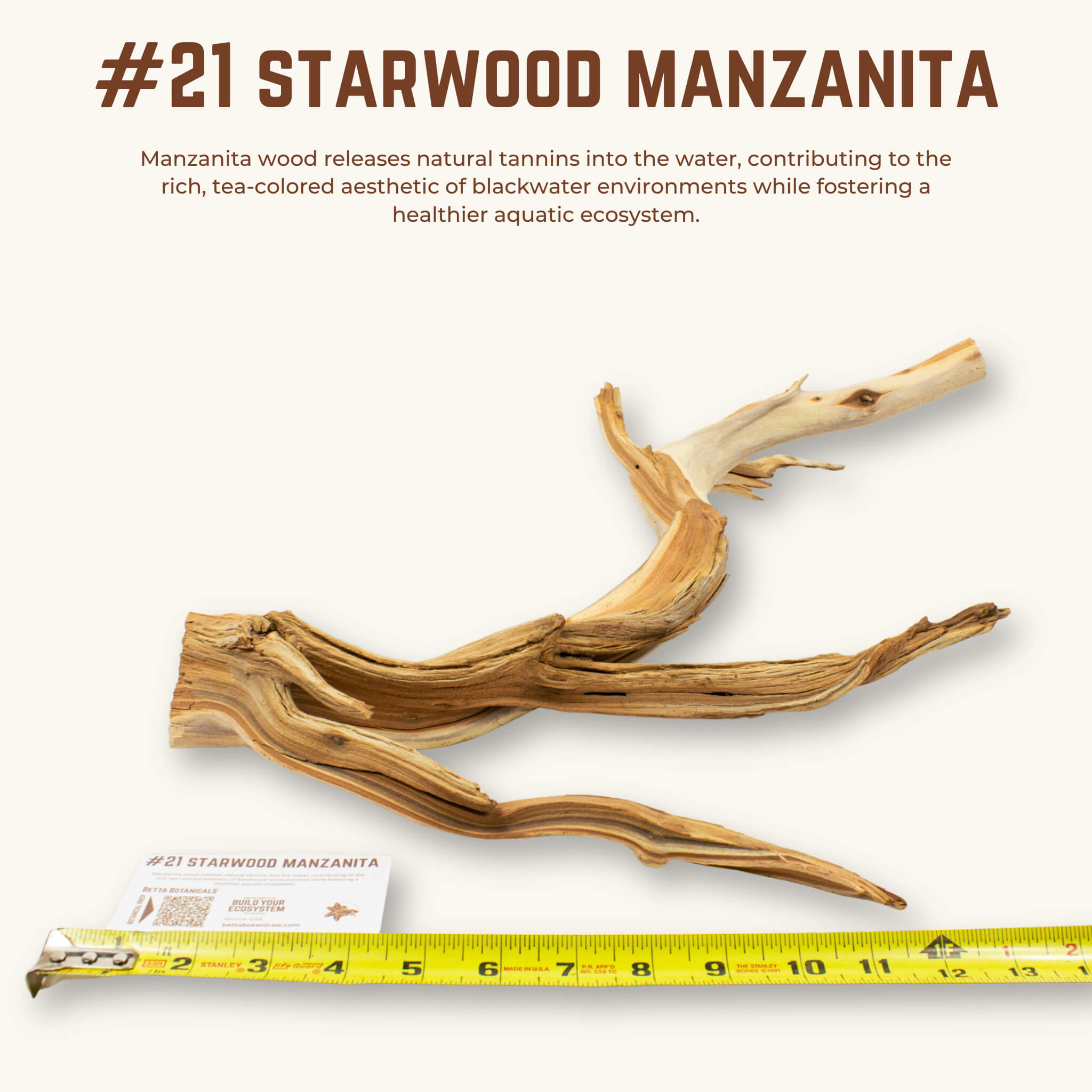 Starwood Manzanita | WYSIWYG Pieces