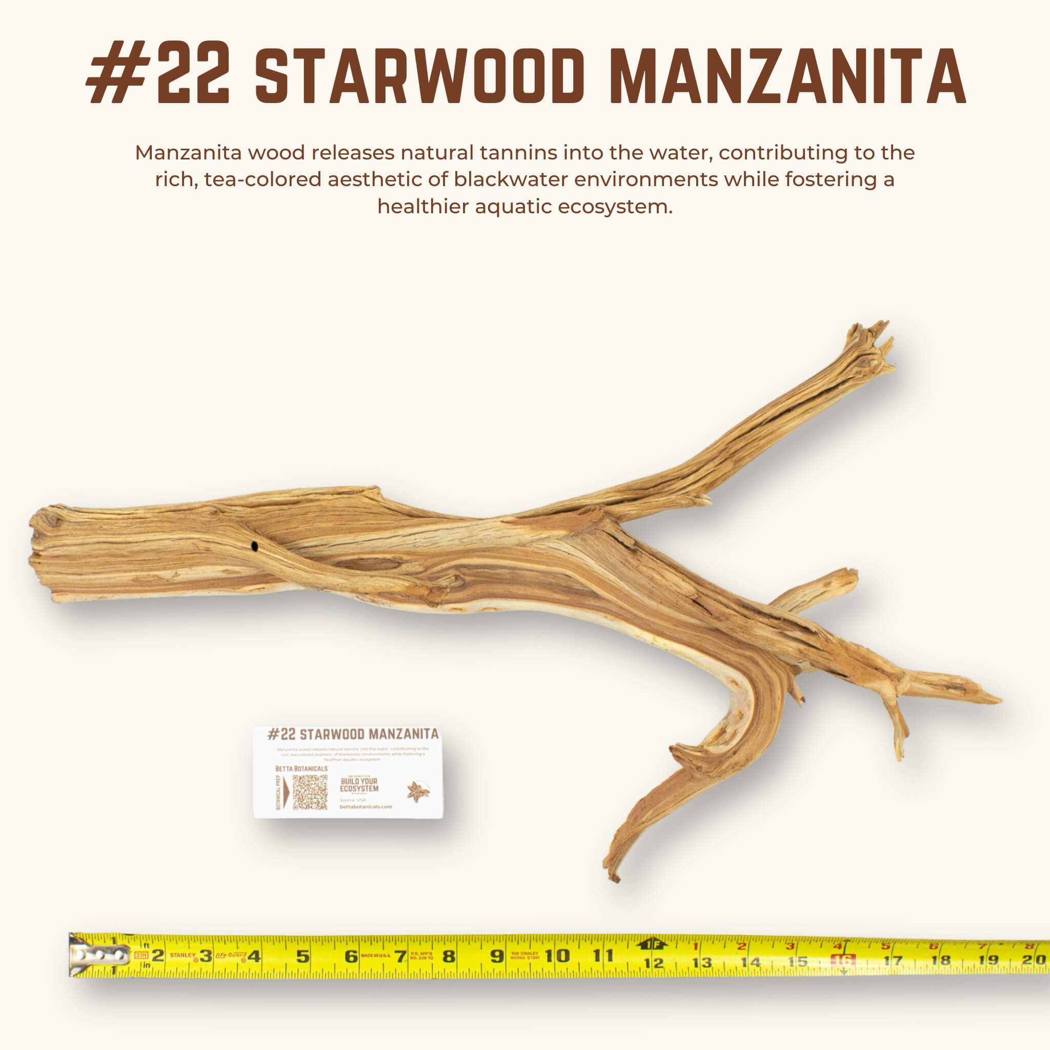 Starwood Manzanita | WYSIWYG Pieces