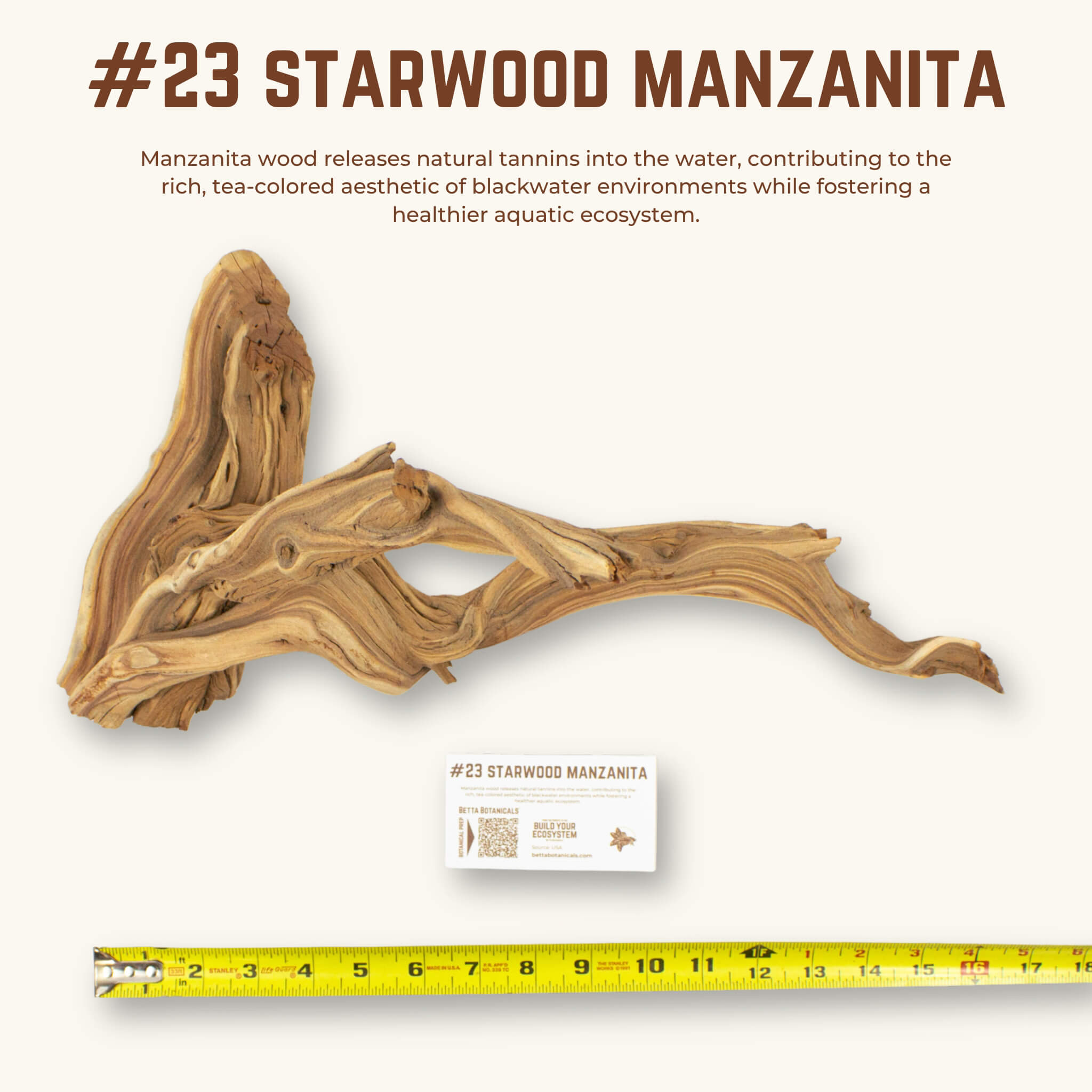 Starwood Manzanita | WYSIWYG Pieces