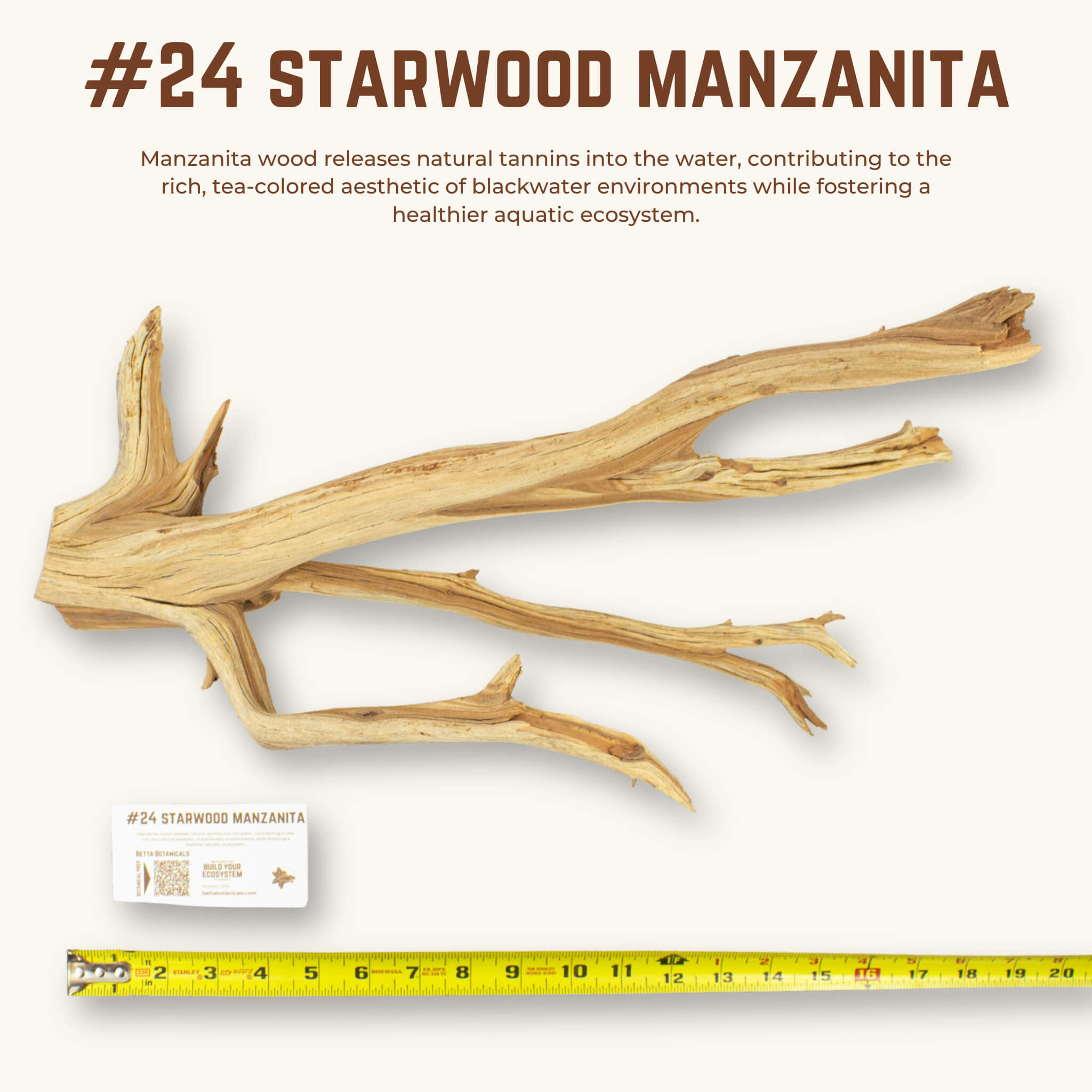 Starwood Manzanita | WYSIWYG Pieces