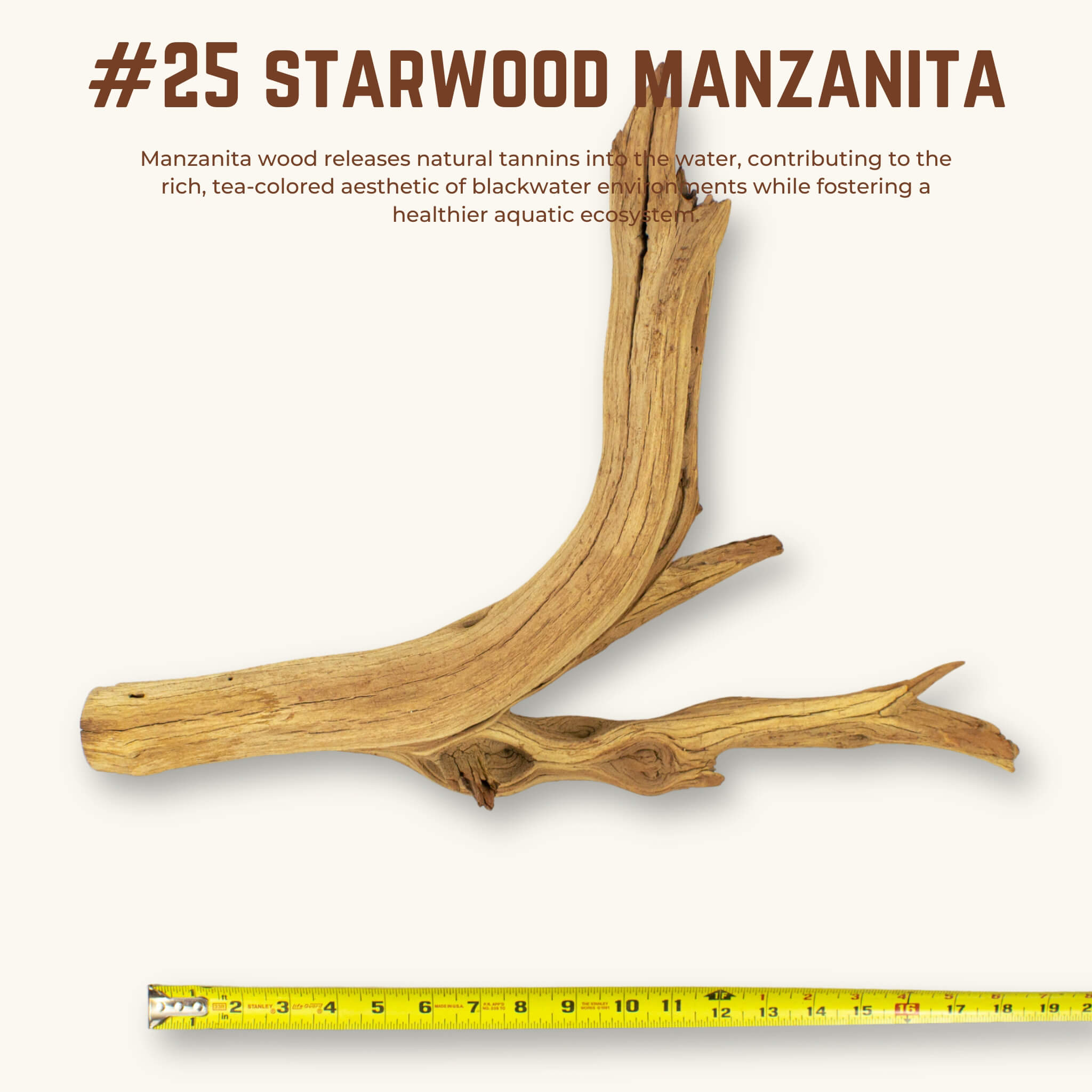 Starwood Manzanita | WYSIWYG Pieces