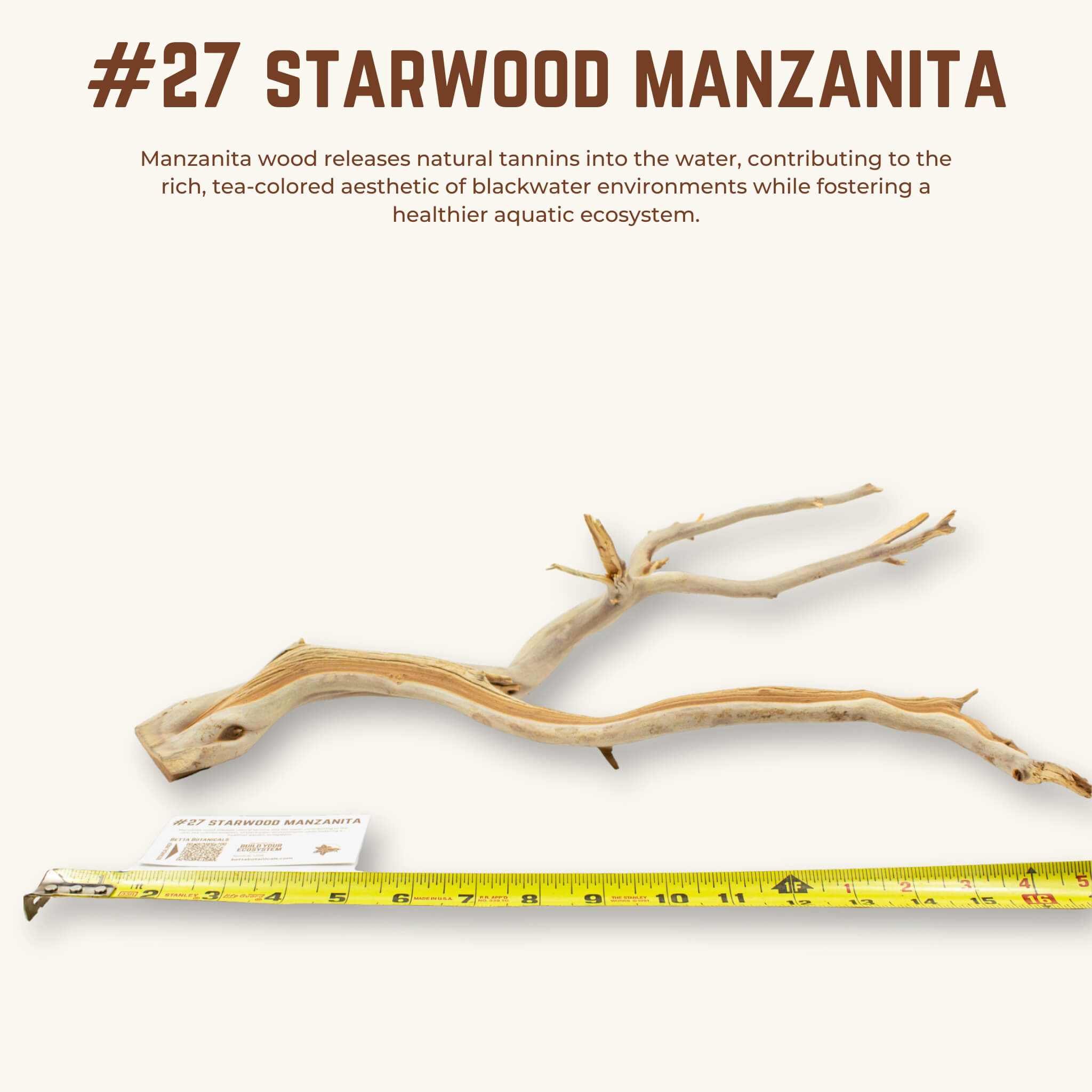 Starwood Manzanita | WYSIWYG Pieces