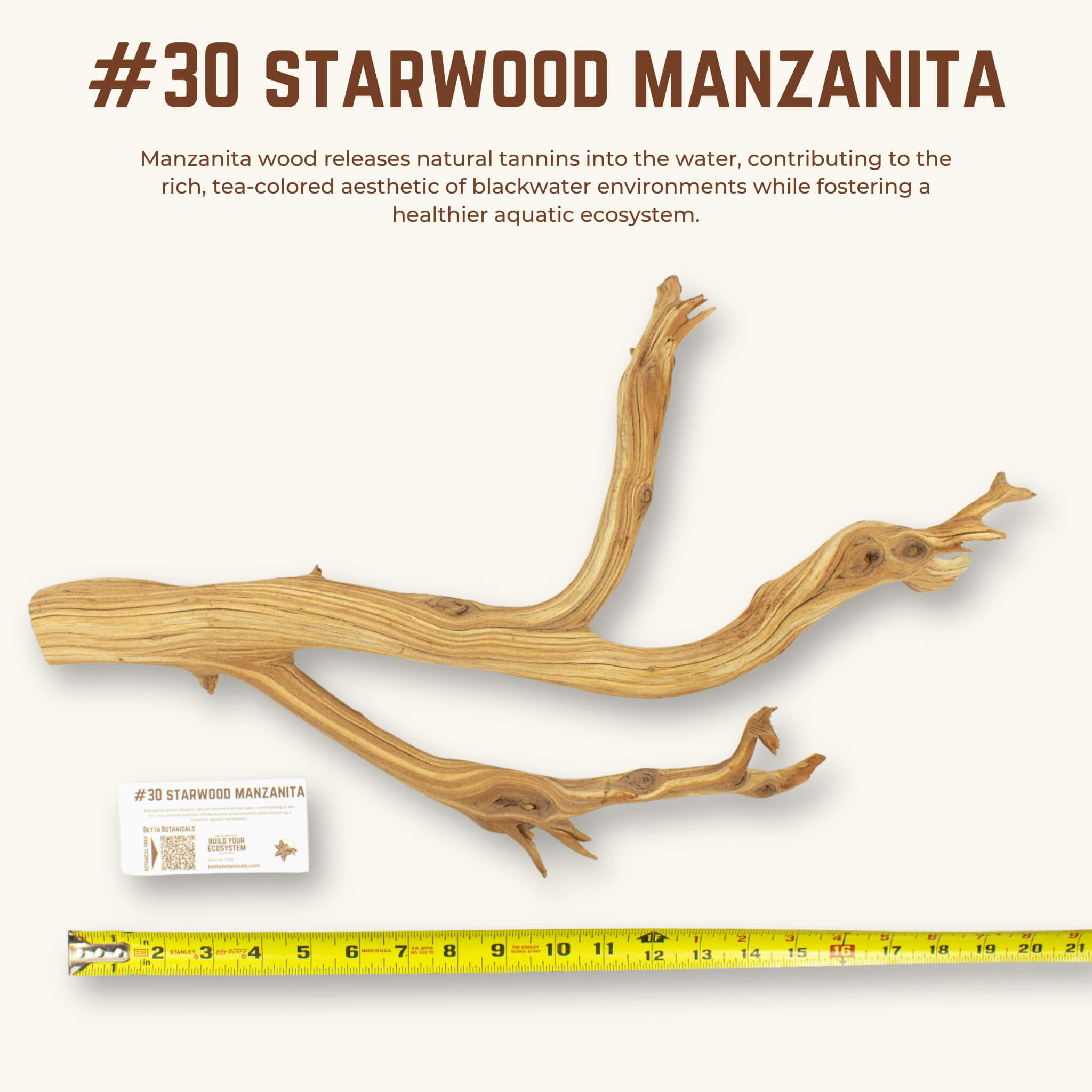 Starwood Manzanita | WYSIWYG Pieces