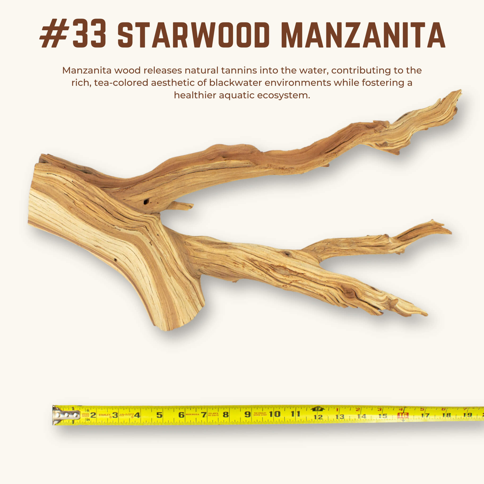 Starwood Manzanita | WYSIWYG Pieces