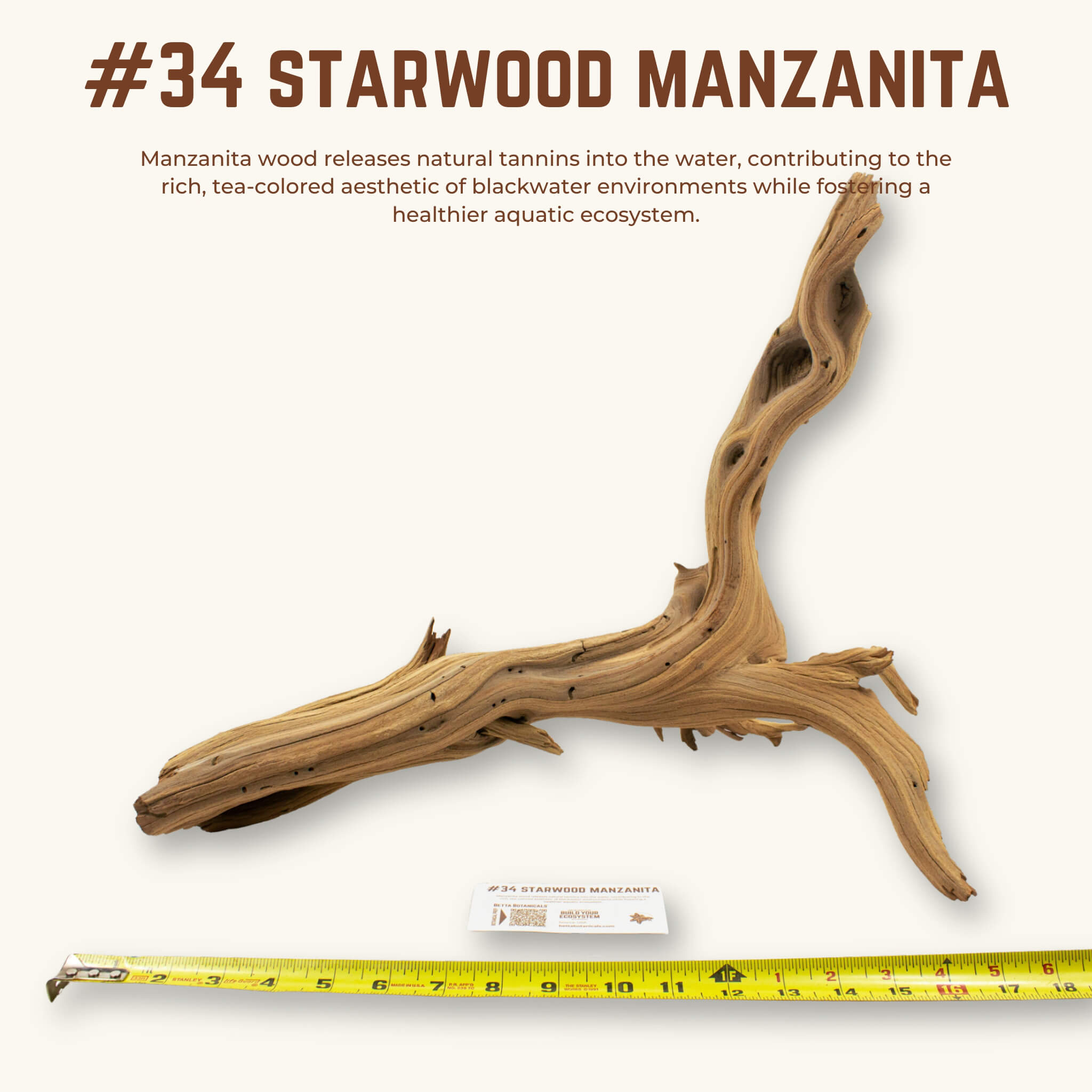 Starwood Manzanita | WYSIWYG Pieces