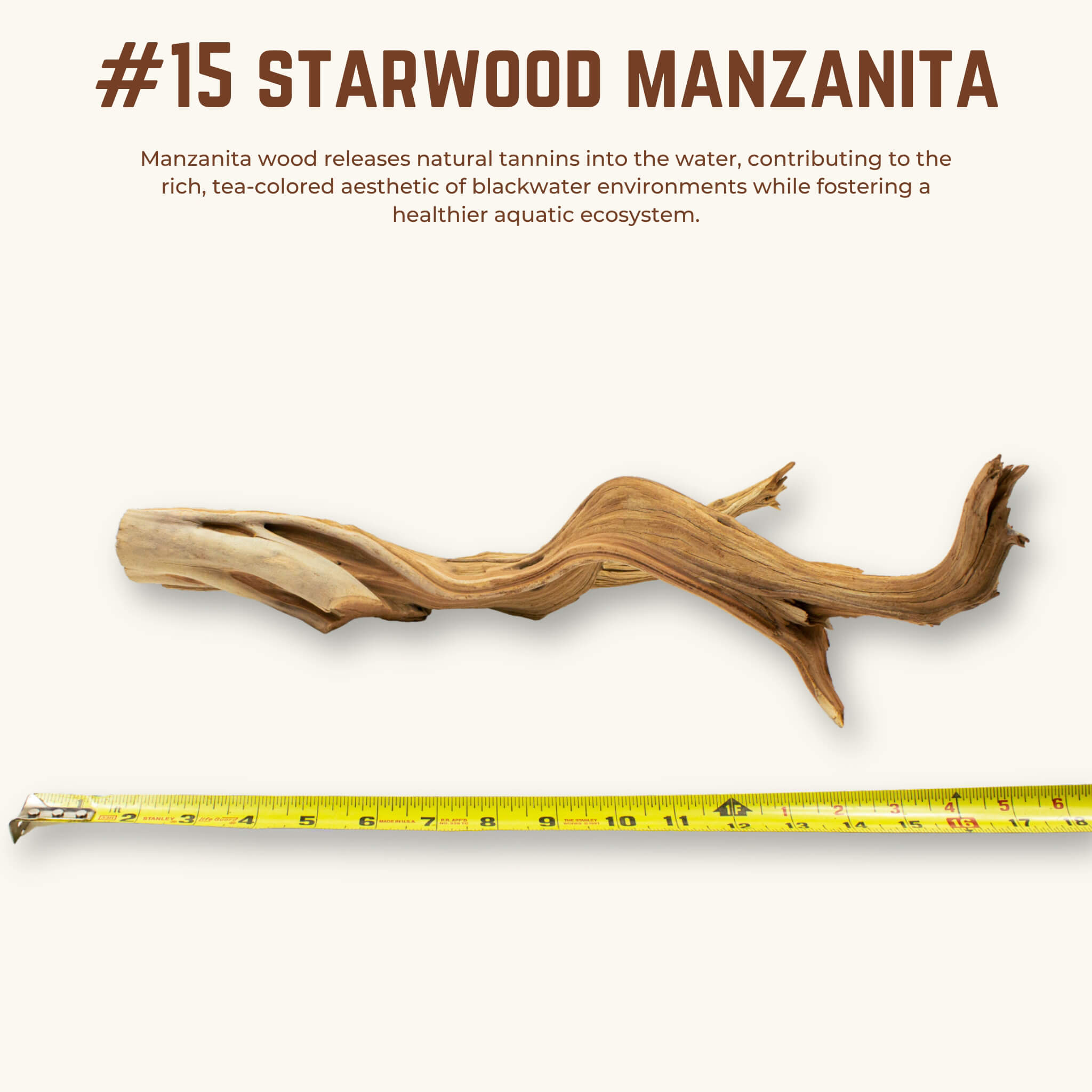 Starwood Manzanita | WYSIWYG Pieces