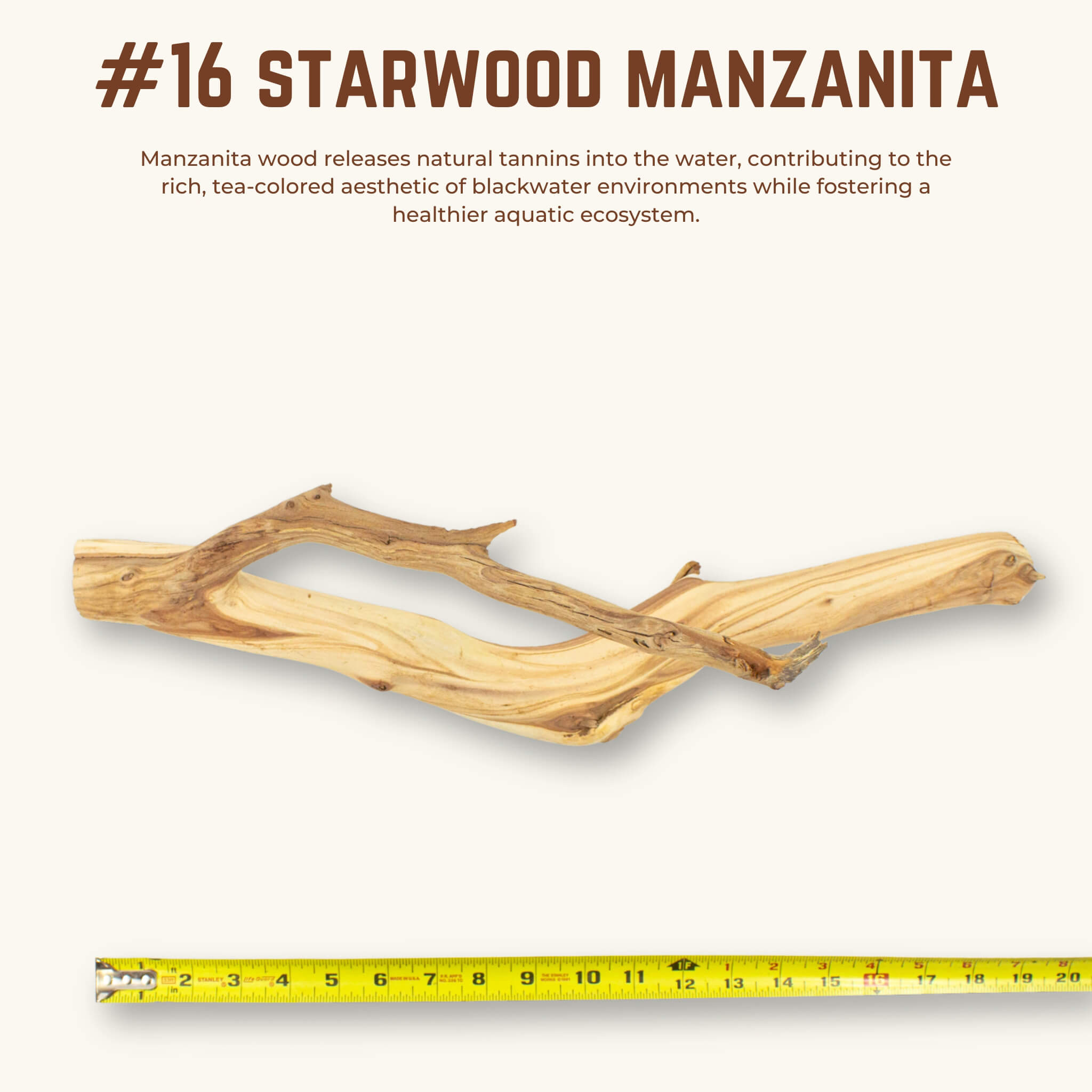Starwood Manzanita | WYSIWYG Pieces