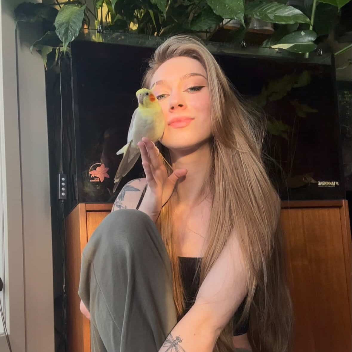 A person squatting infront of a botanical method aquarium and a cockatiel sittin on their hand.