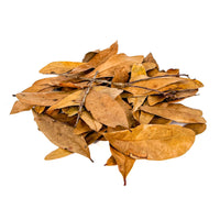 Pile of brown, tan, and amber shingles live oak leaf litter and twigs for aquariums and terrariums by Betta Botanicals.