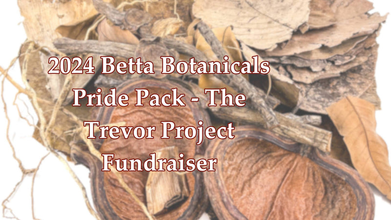 Celebrating Diversity and Supporting LGBTQ+ Youth with Betta Botanicals' 2024 Pride Pack