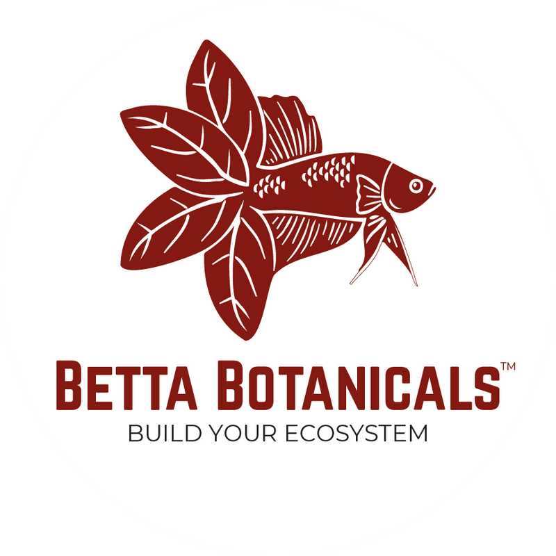The Betta Botanicals logo helping you source premium aquarium botanicals.