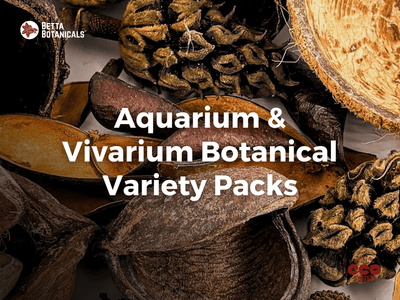 Variety packs of botanicals for aquariums and vivariums, featuring a curated selection of pods, leaves, and cones to enrich natural habitats at Betta Botanicals.