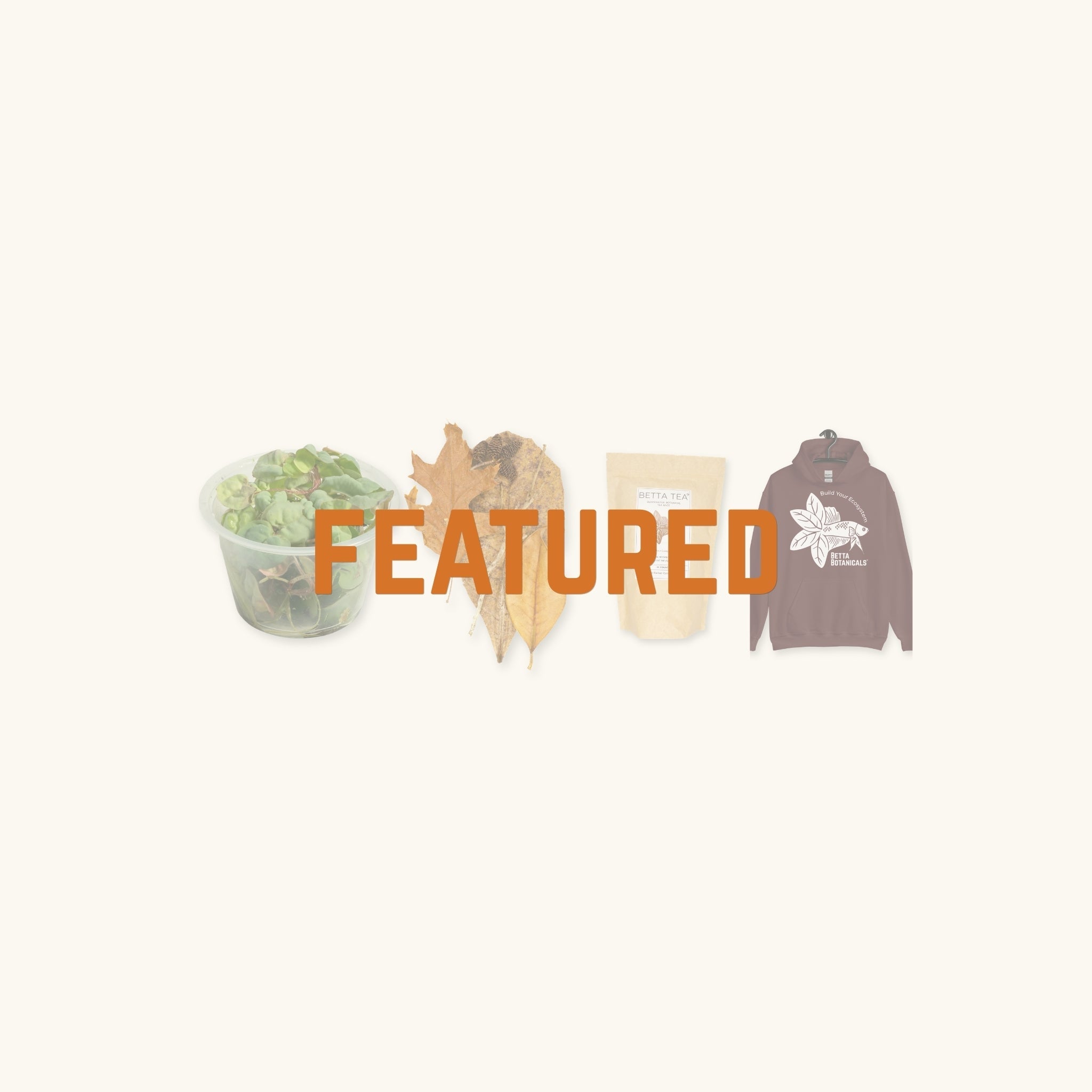 A graphic of featured aquarium products at betta botanicals, photographed on a natural background.