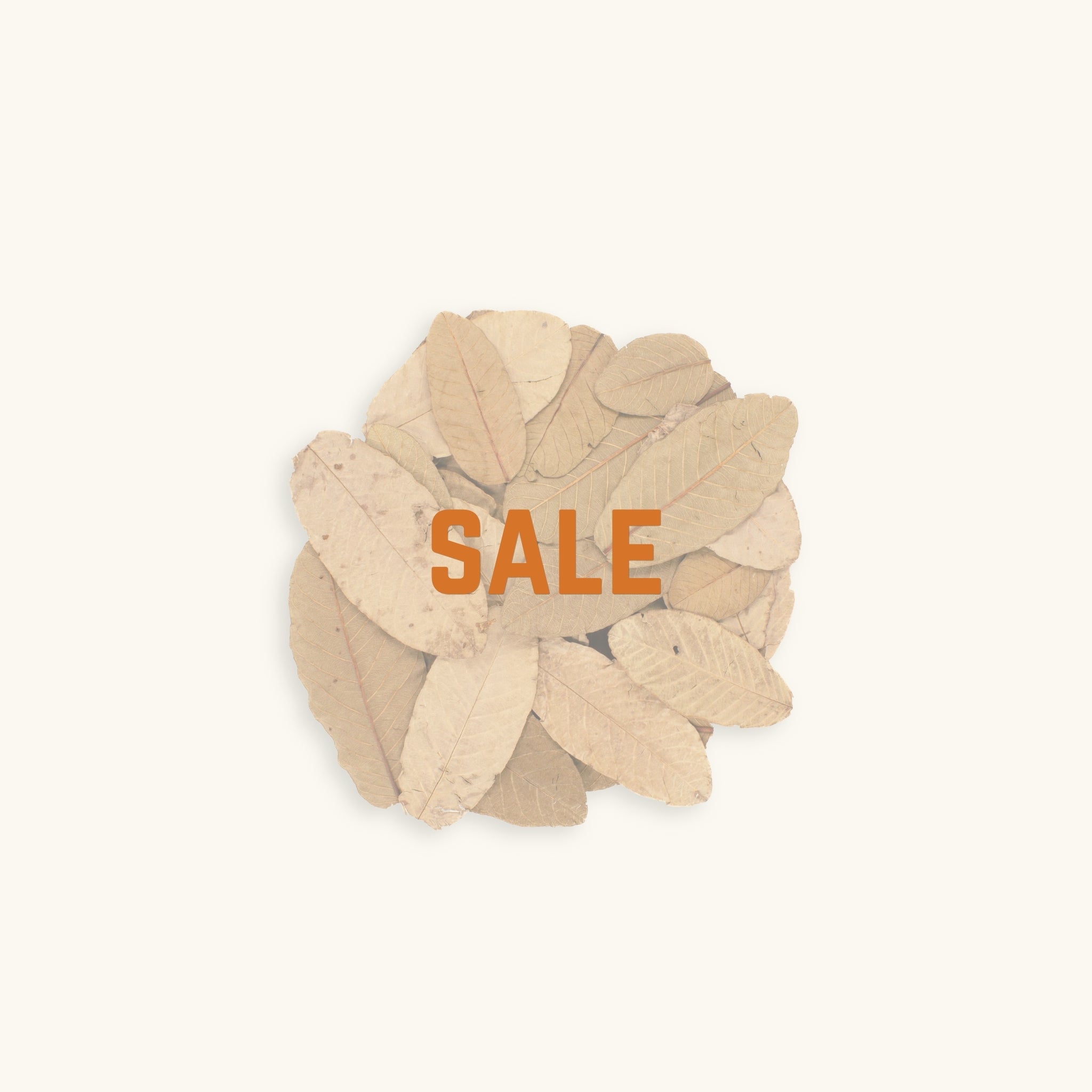 A group of brown to green guava leaves behind text, 'sale', photographed on a natural background at Betta Botanicals.