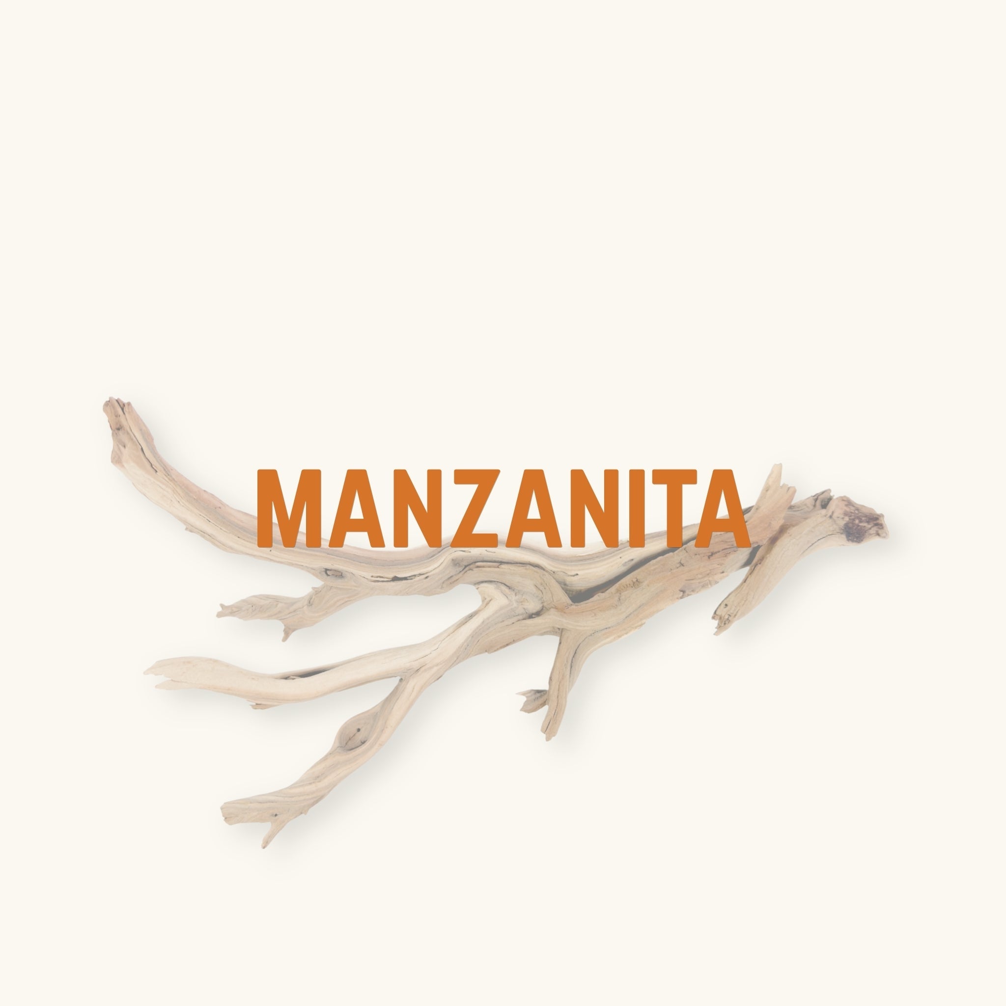 A single white, tan, and brown manzanita branch for aquariums and vivariums, photographed on a natural background at Betta Botanicals.