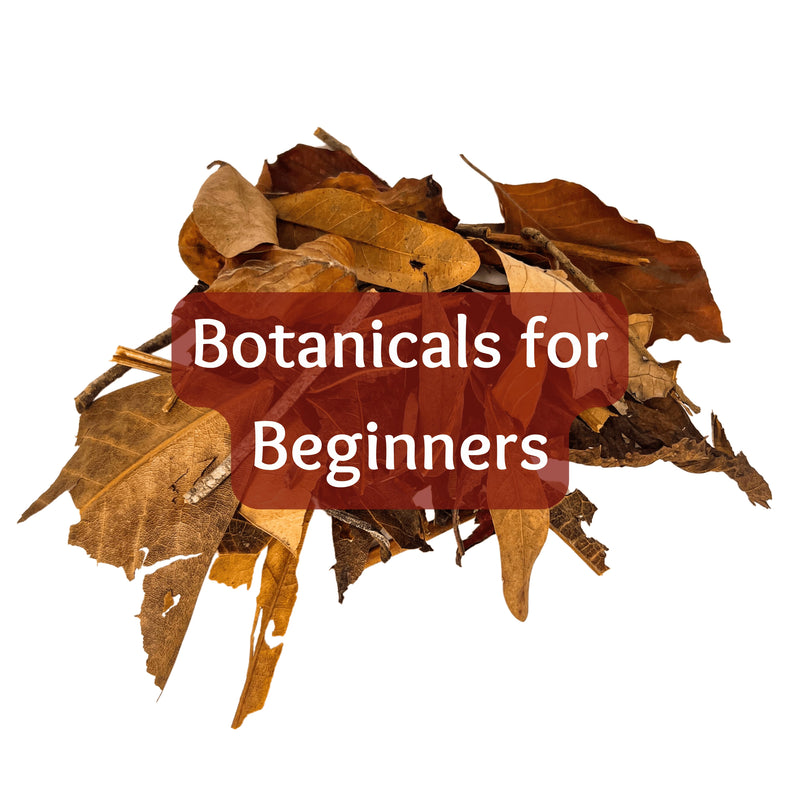 Collections – Betta Botanicals