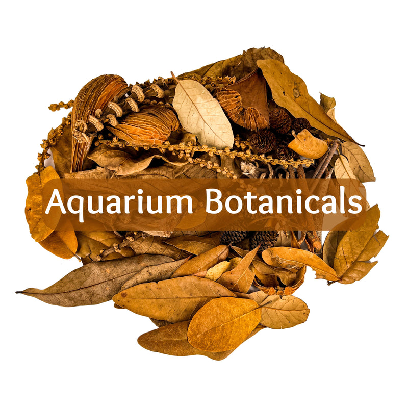 Pile of aquarium botanicals for fish, by Betta Botanicals, for Betta Fish Tank, Betta Aquarium, Nature Aquarium.