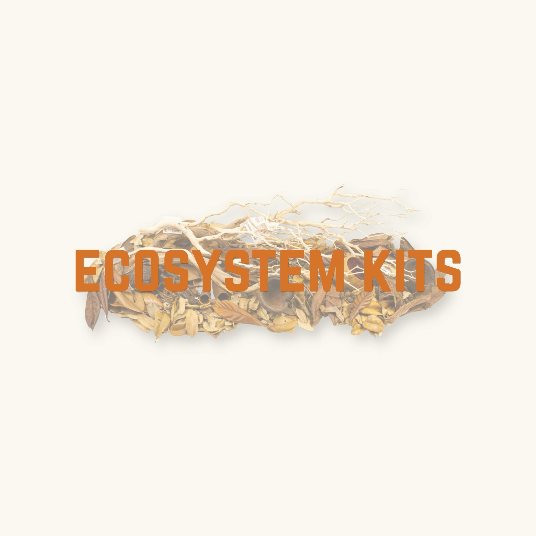 Ecosystem Aquarium kits by Betta Botanicals, for botanical method aquariums, blackwater aquariums, and betta fish tanks. 