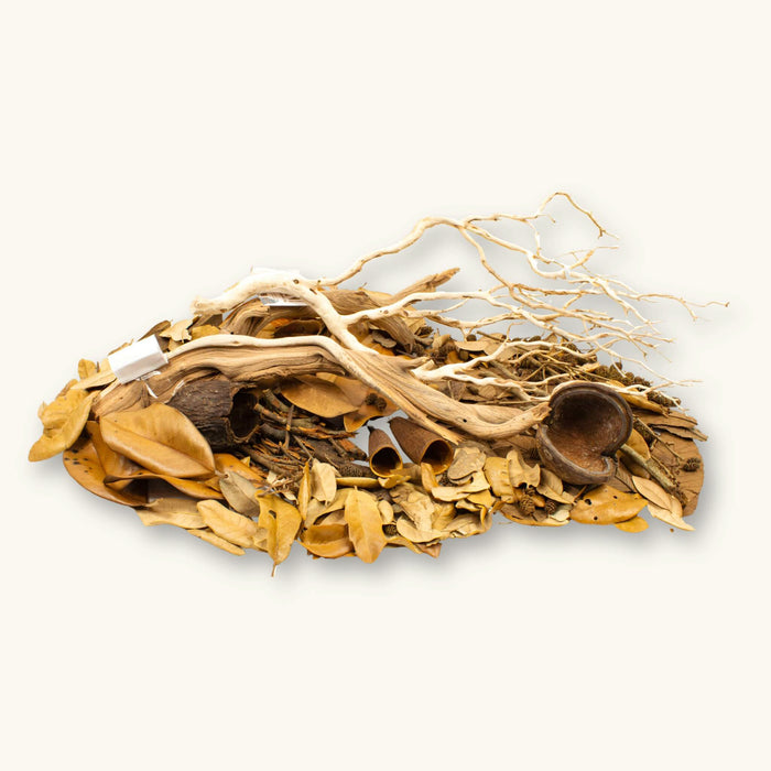 A group of brown, amber, orange leaves, seed pods, manzanita wood, and cones for small blackwater aquariums, photographed on a natural background at Betta Botanicals.