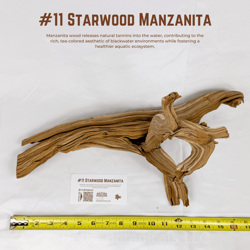 'Starwood' Manzanita | WYSIWYG Pieces