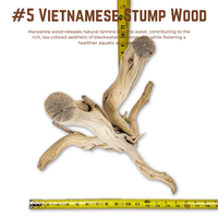 Vietnamese Stump Wood | WYSIWYG Pieces