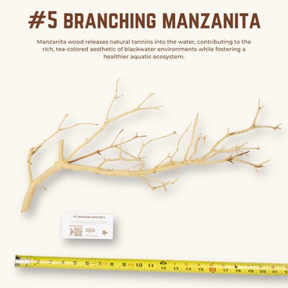 Branching Manzanita | WYSIWYG Pieces