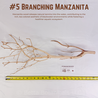 Branching Manzanita | WYSIWYG Pieces