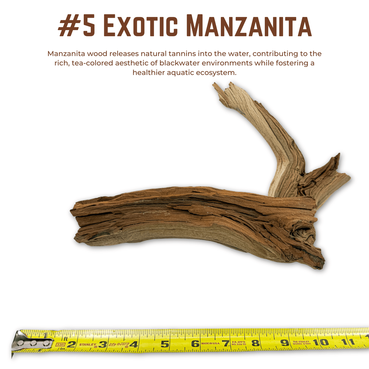 Exotic Manzanita | WYSIWYG Pieces