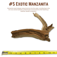 Exotic Manzanita | WYSIWYG Pieces