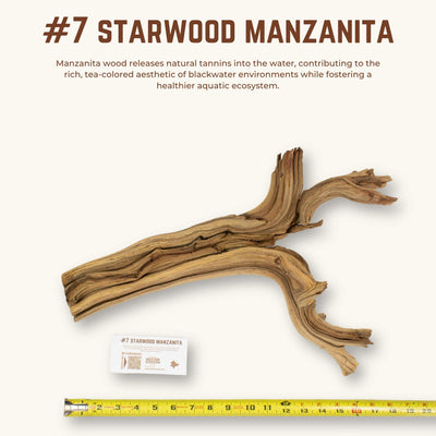Starwood Manzanita | WYSIWYG Pieces