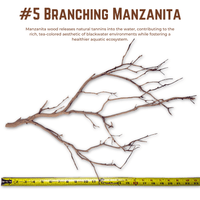 Branching Manzanita | WYSIWYG Pieces