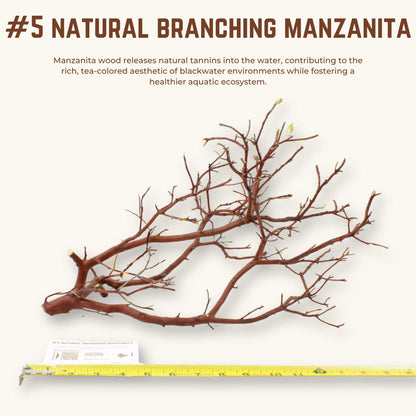 Natural Branching Manzanita | WYSIWYG Pieces