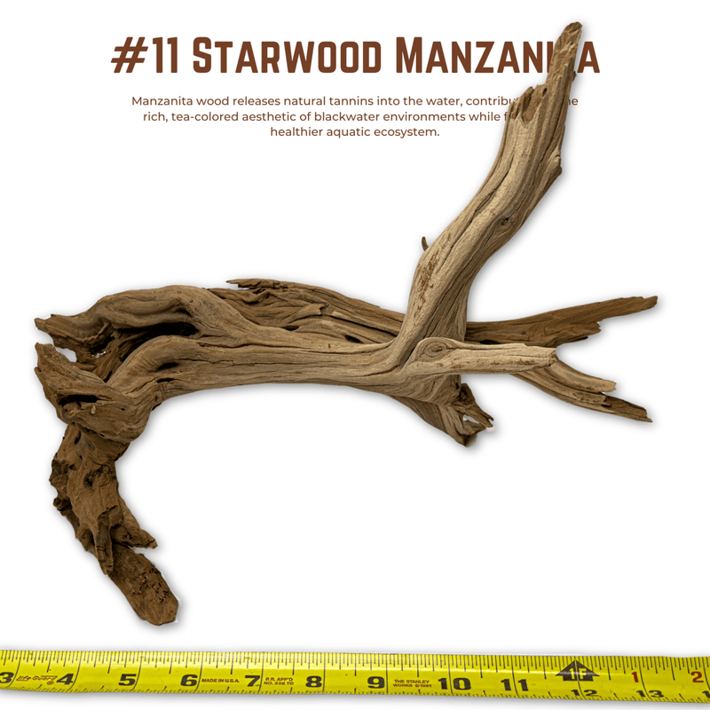 'Starwood' Manzanita | WYSIWYG Pieces