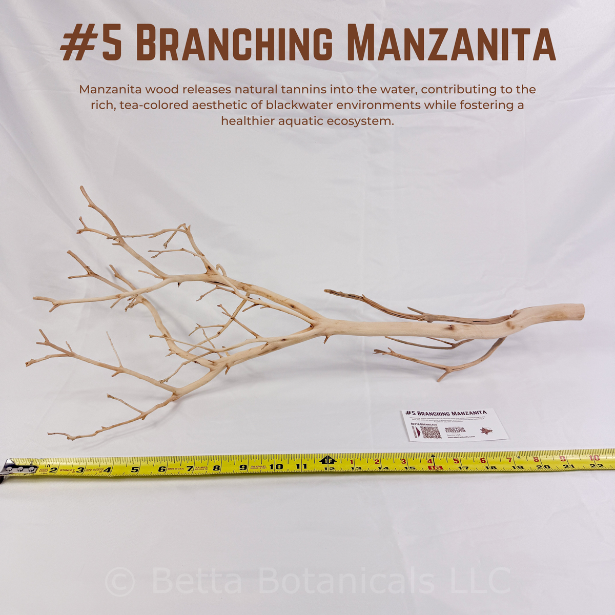 Branching Manzanita | WYSIWYG Pieces