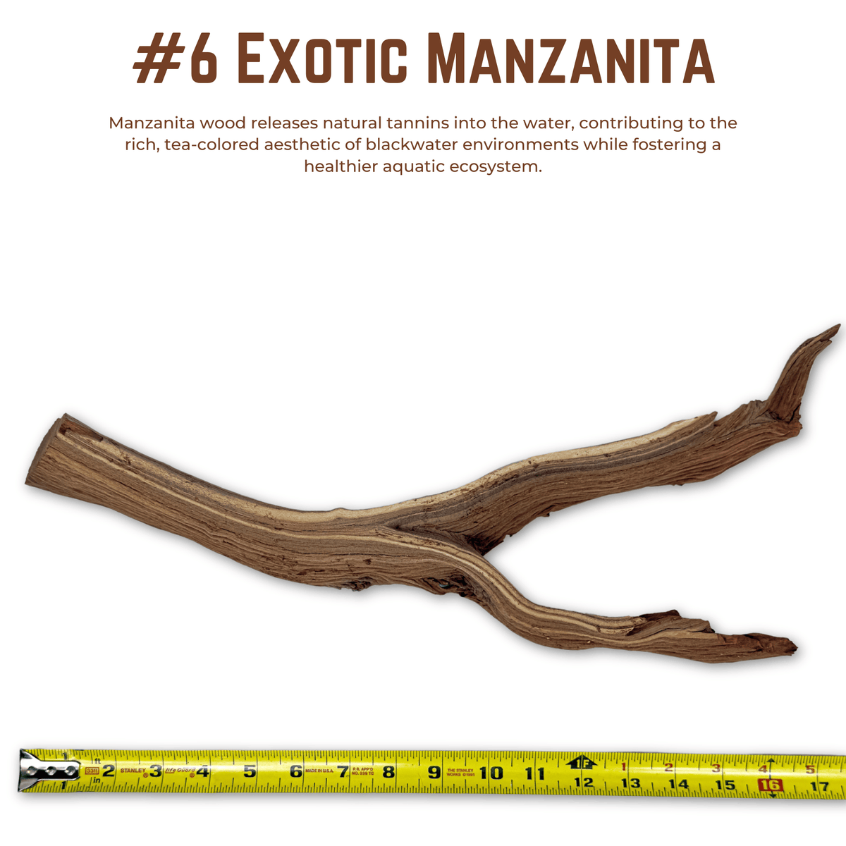 Exotic Manzanita | WYSIWYG Pieces