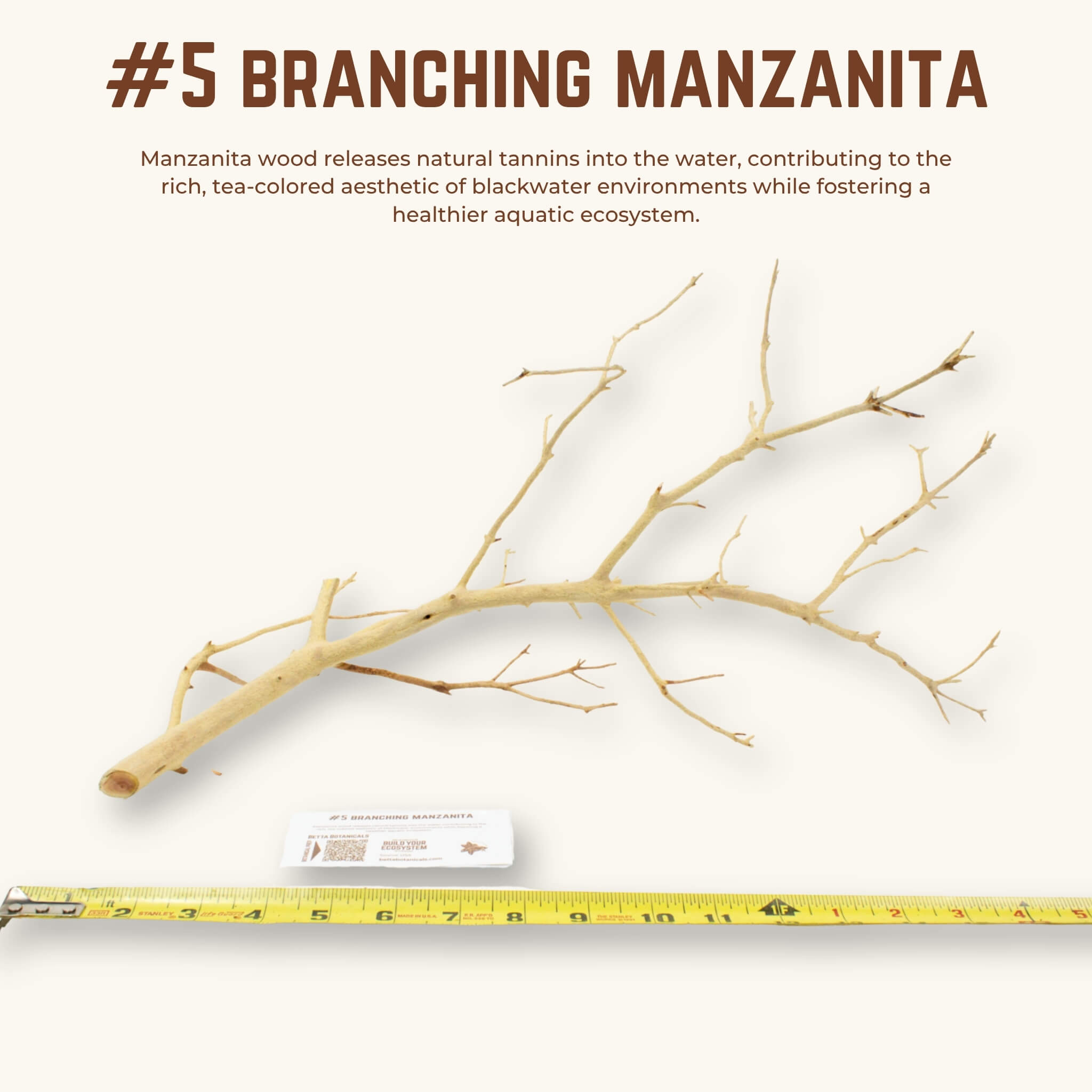 Branching Manzanita | WYSIWYG Pieces