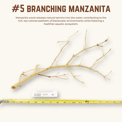Branching Manzanita | WYSIWYG Pieces