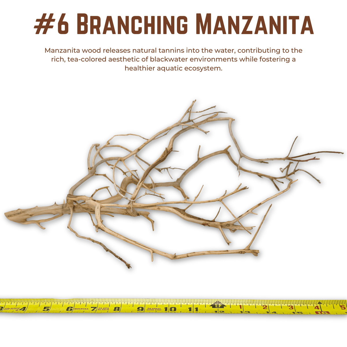 Branching Manzanita | WYSIWYG Pieces