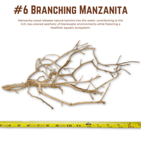 Branching Manzanita | WYSIWYG Pieces